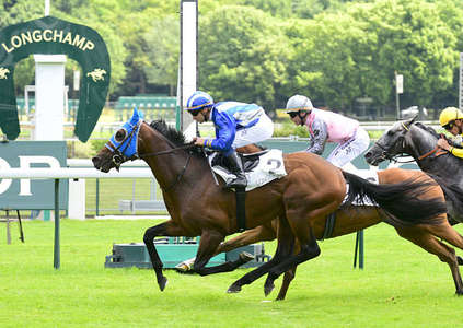 Actualités Hippiques